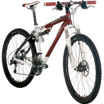 2007 Element