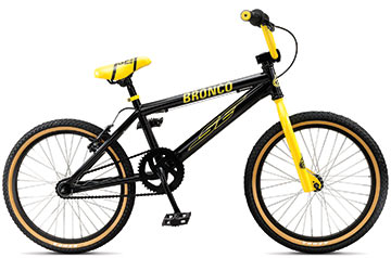2010 Bronco