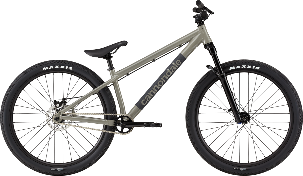 2021 Dave