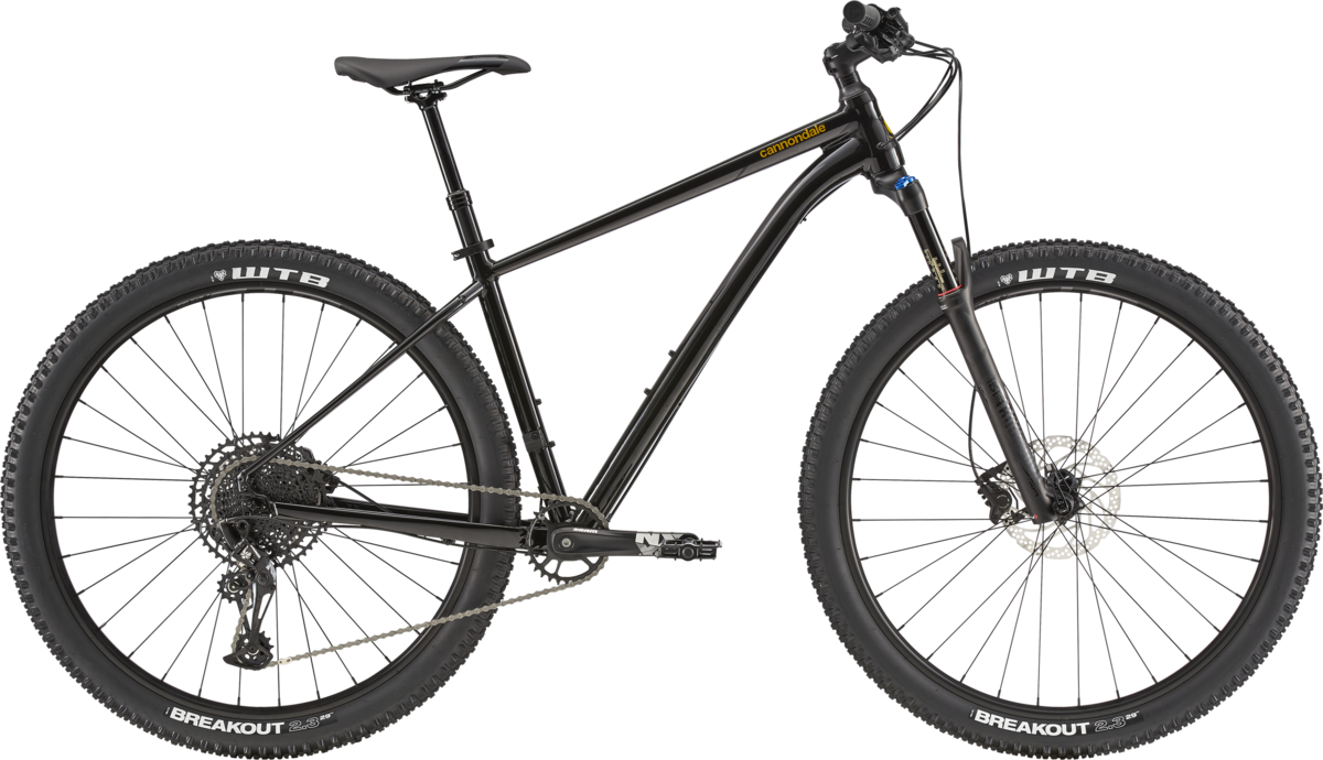 2020 Trail