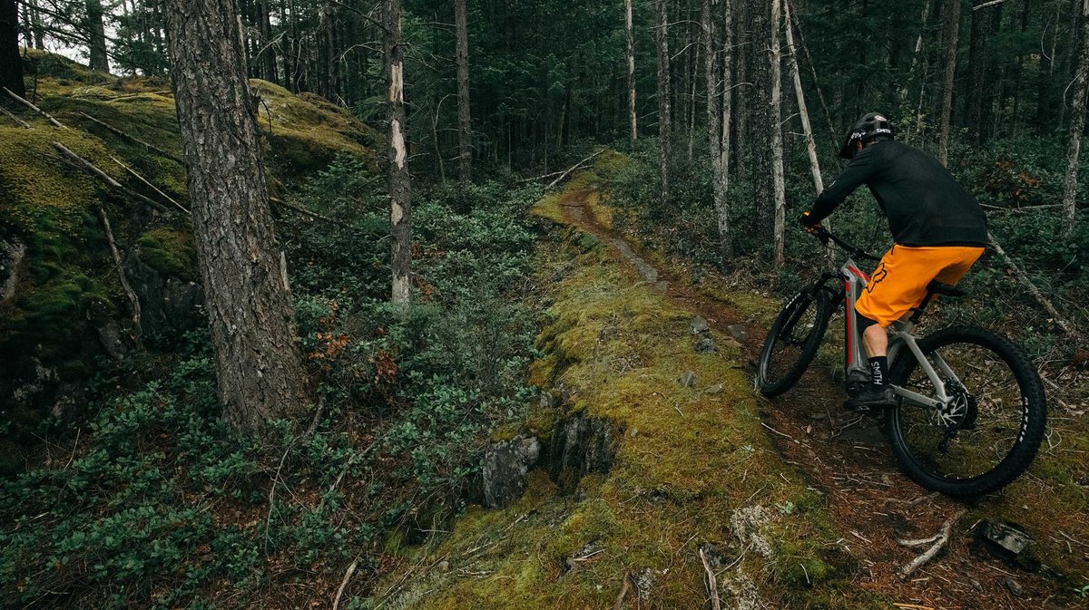 2020 Devinci DC NX