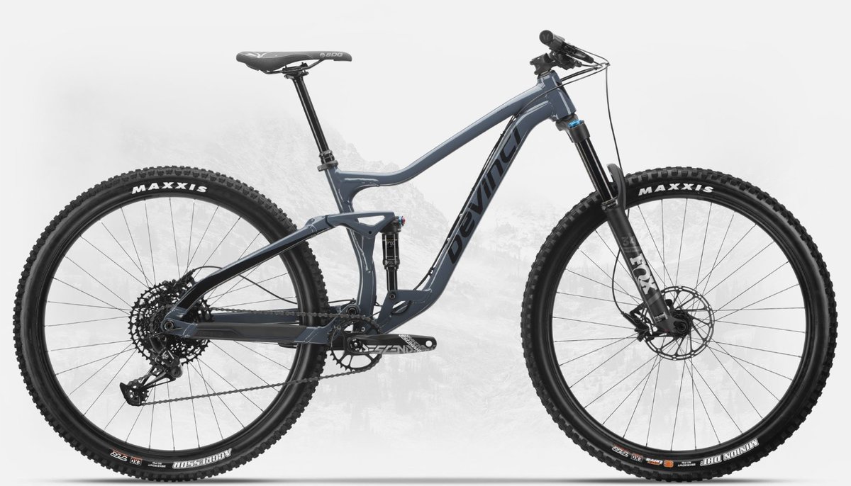 2020 Devinci Django 29 SX/NX
