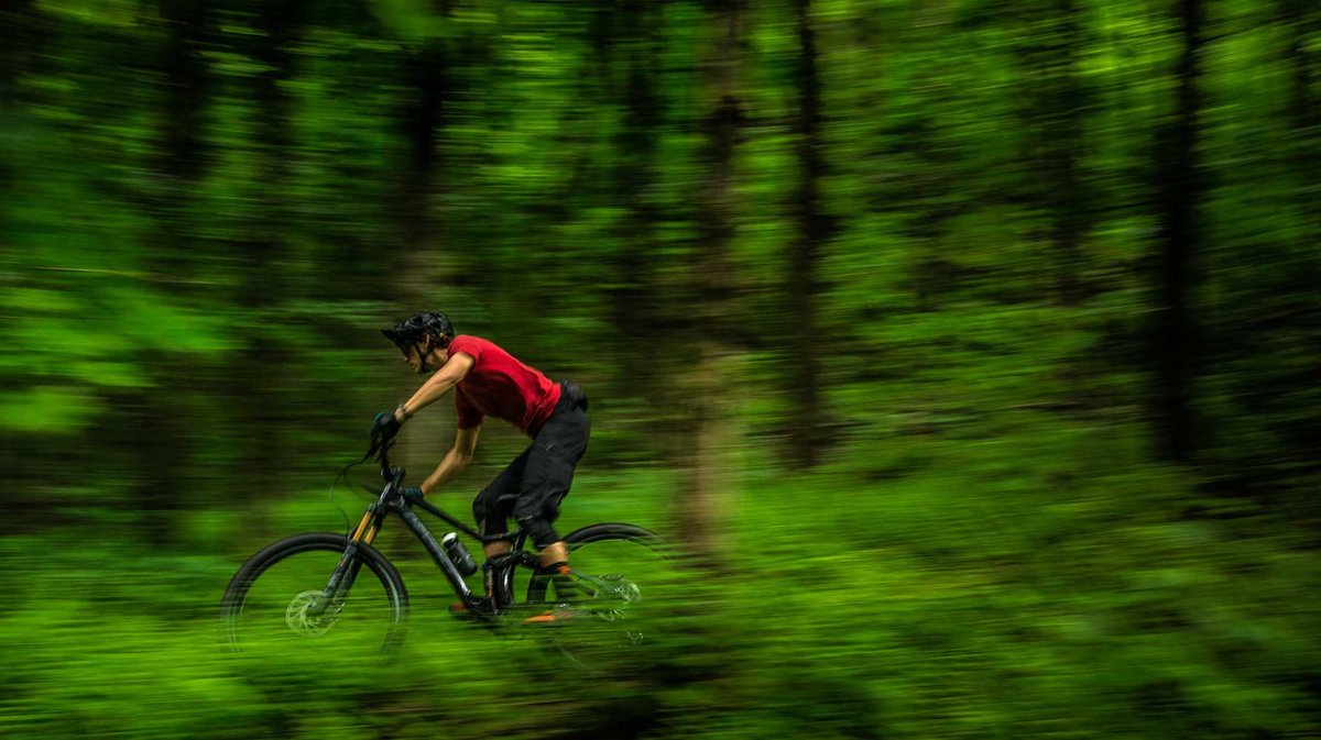 2020 Devinci Django Carbon 29 GX LTD