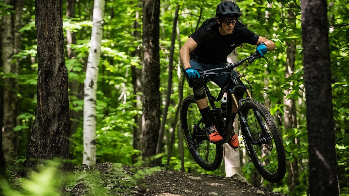 2020 Devinci Django Carbon 29 NX