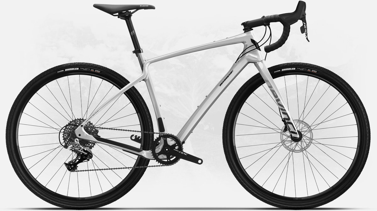 2020 Devinci Hatchet Carbon Rival