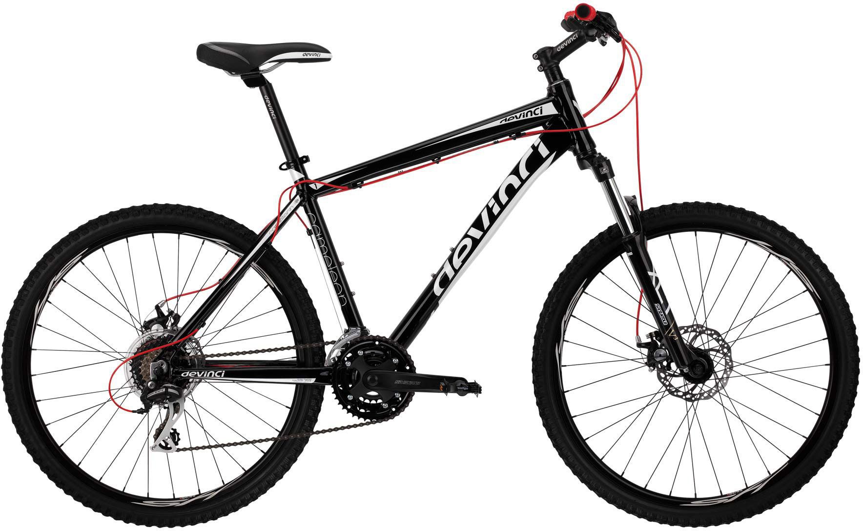 2011 Devinci Cameleon 1