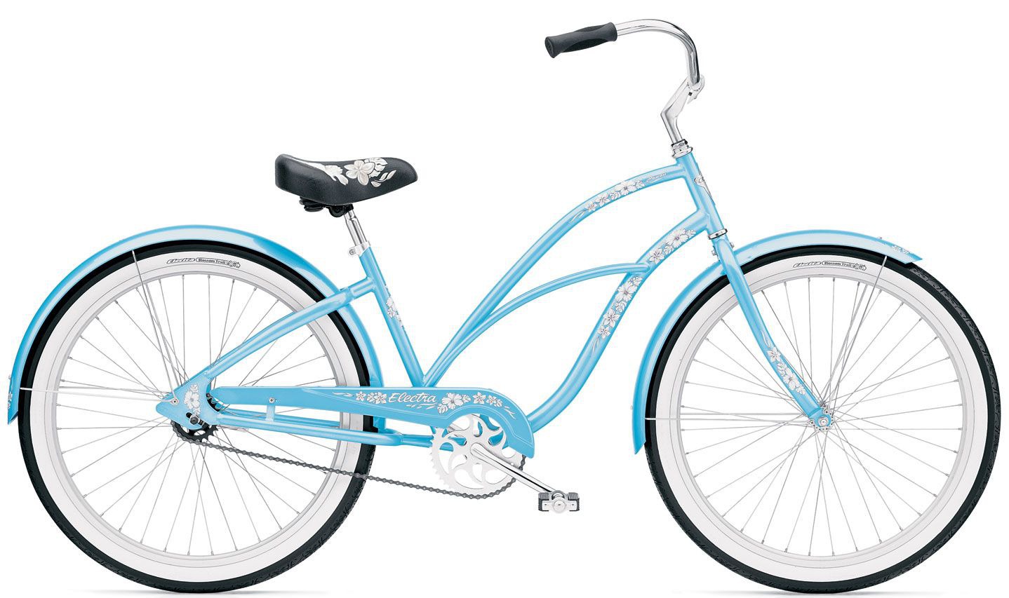 2011 Electra Hawaii 1