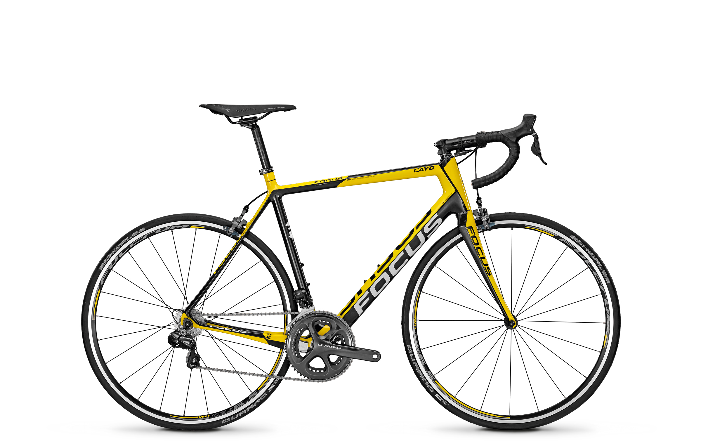 2014 Cayo