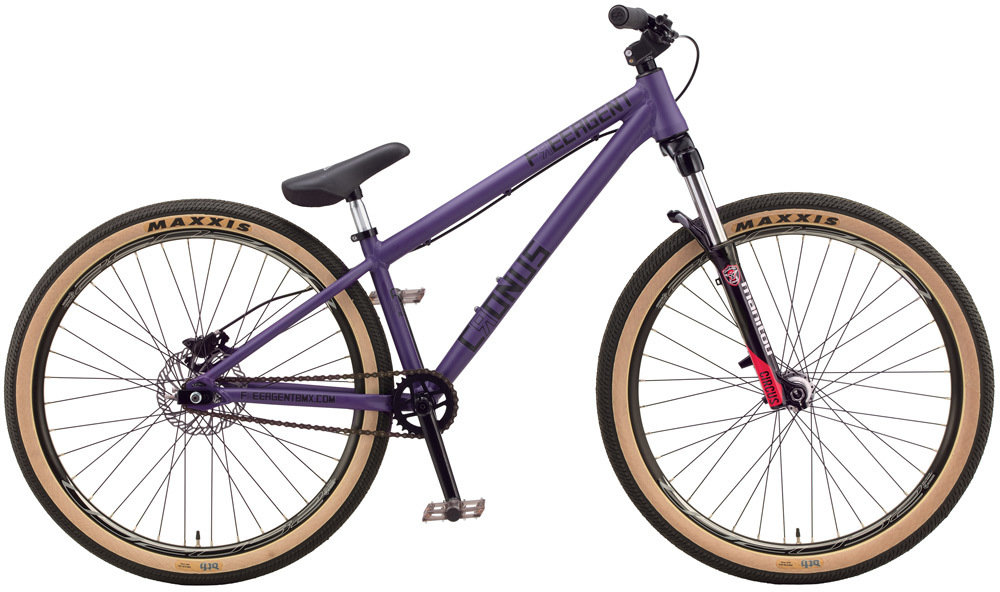 2020 Cronus