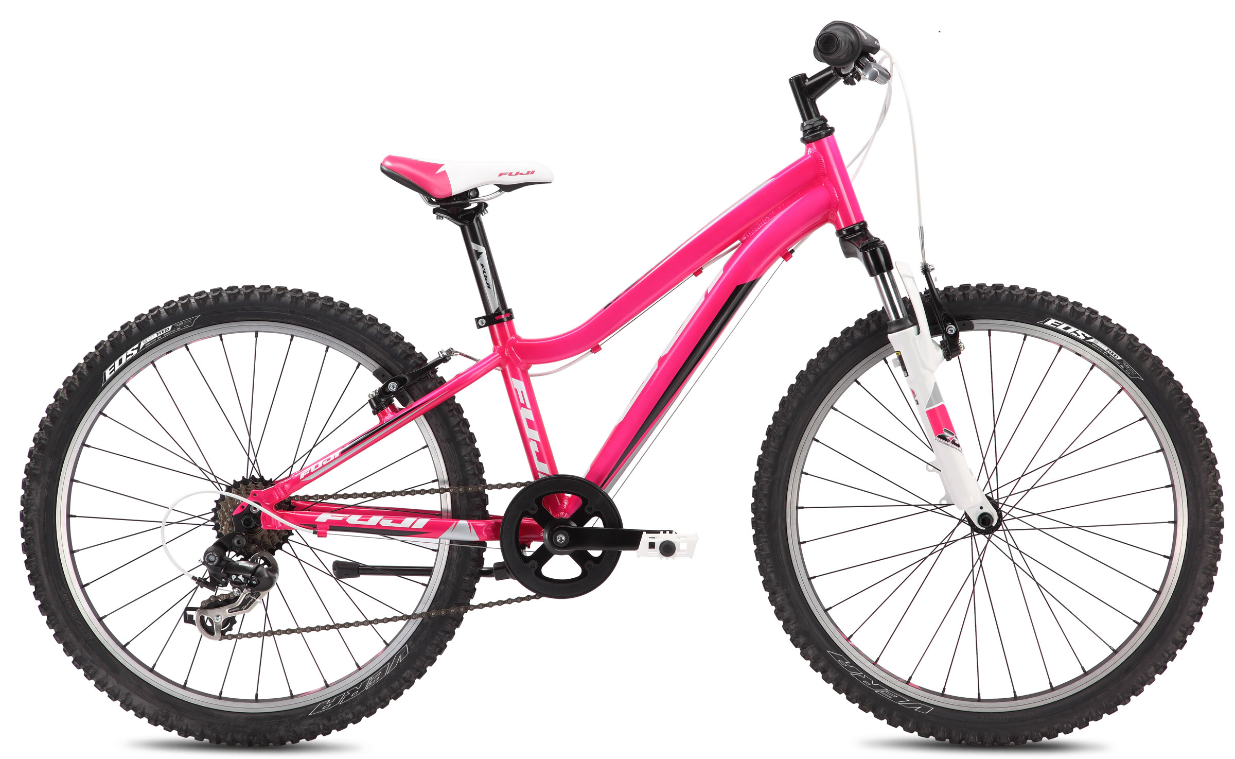 2013 Fuji Dynamite 24 Girl