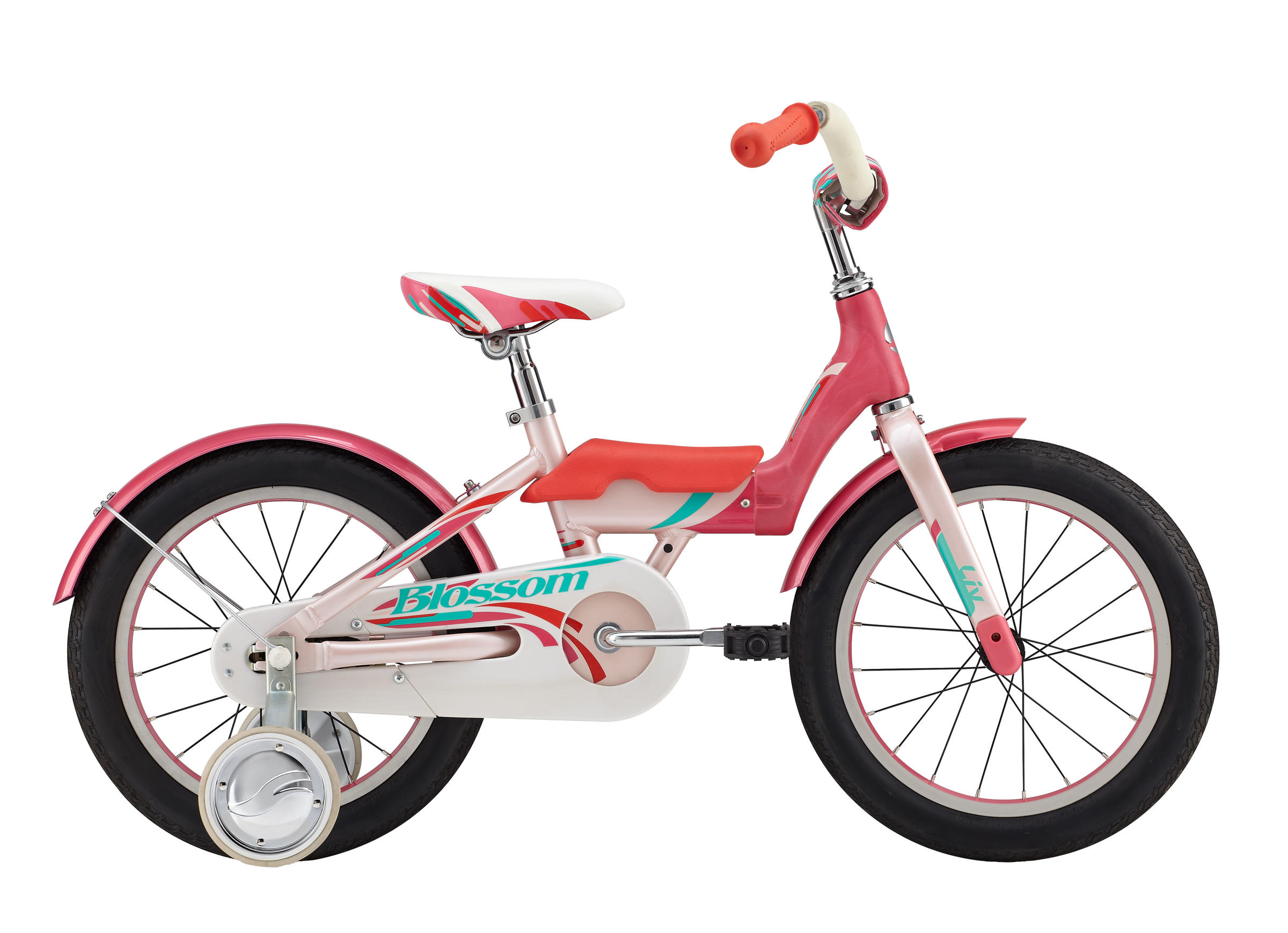 2015 Blossom