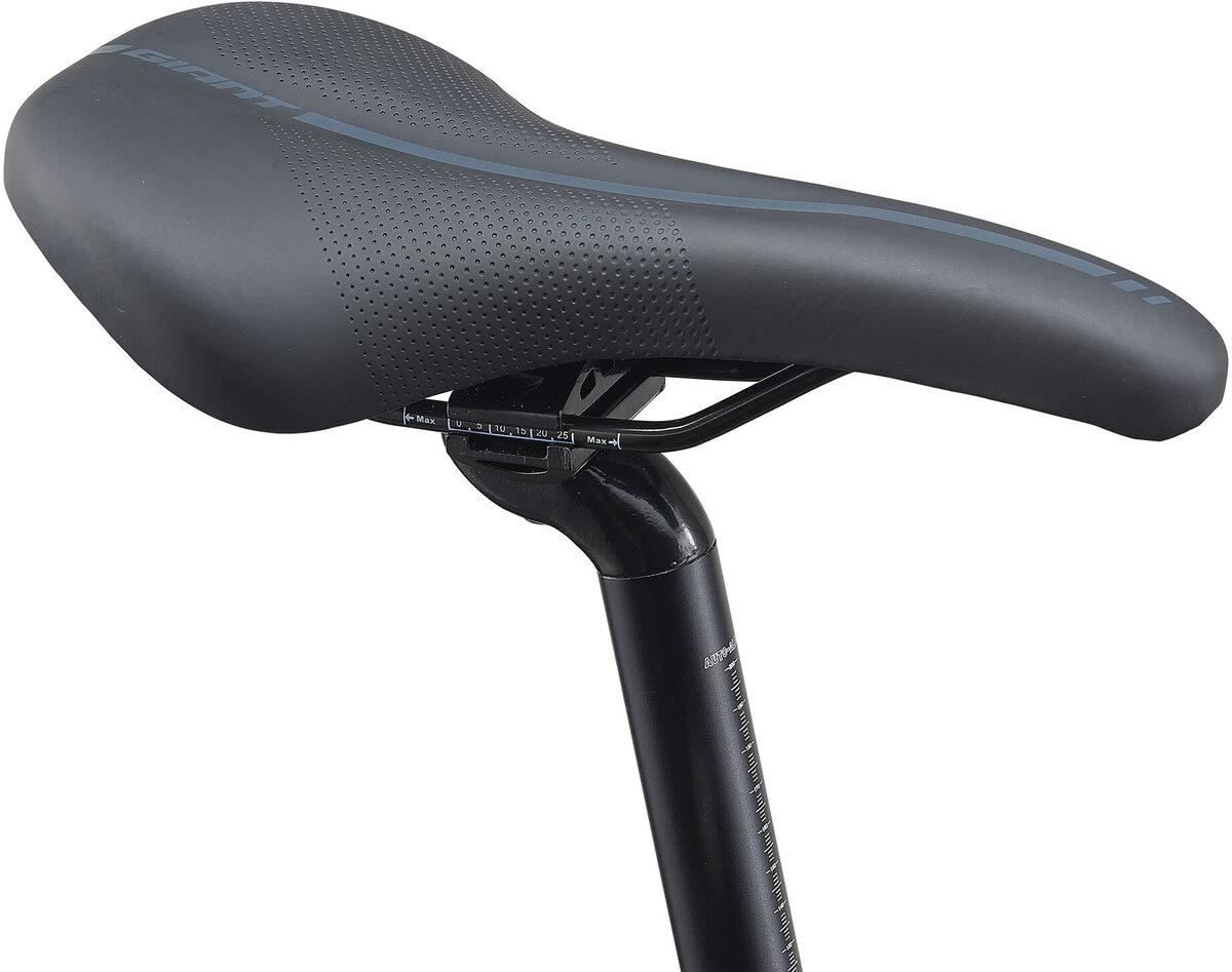 2021 Giant Escape 3 Disc