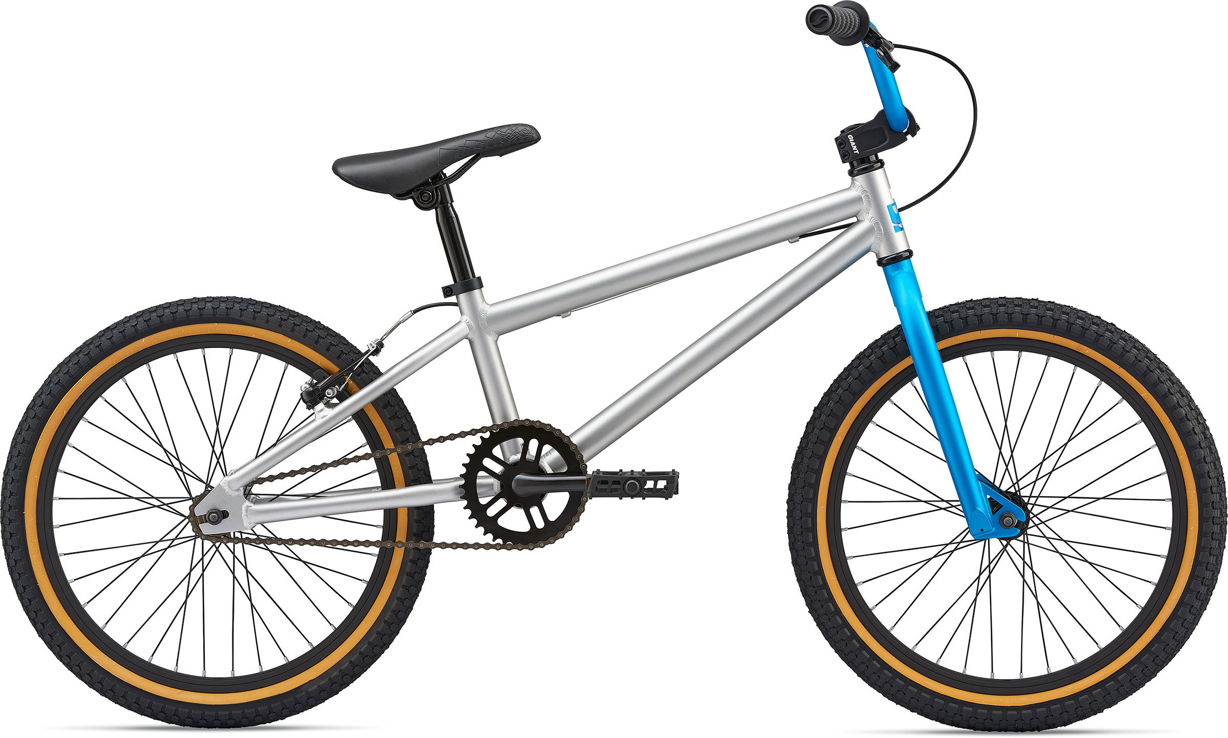 2019 GFR