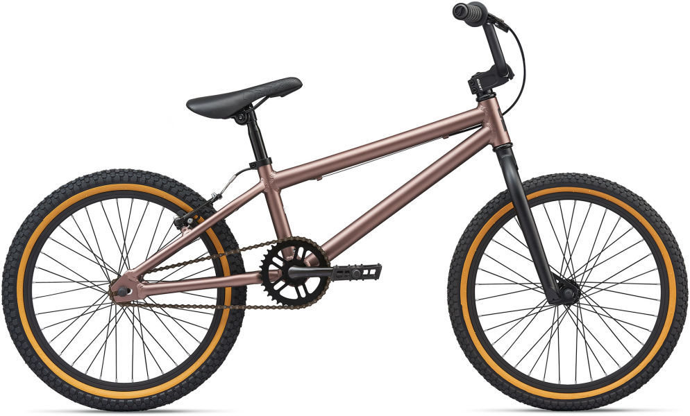 2020 GFR