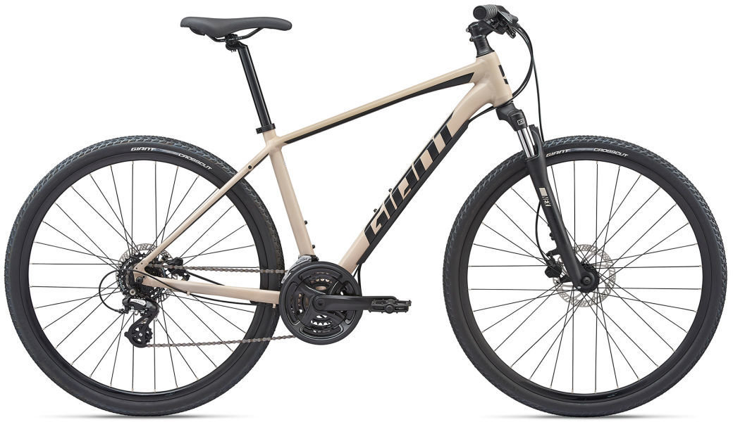 2020 Giant Roam 4 Disc