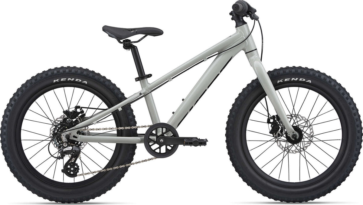 2021 Giant STP 20