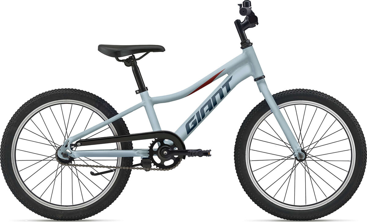 2021 Giant XtC JR 20 C/B