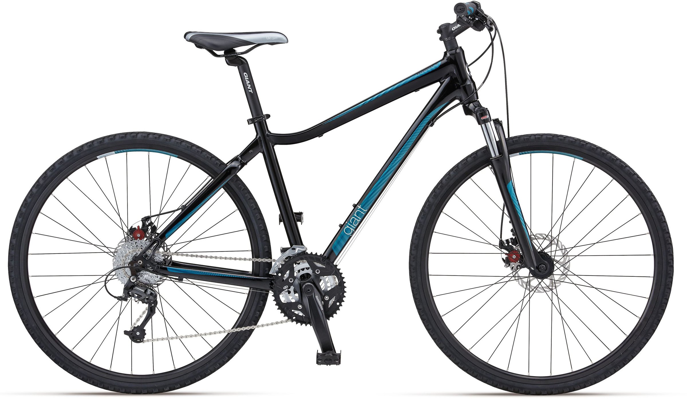 2012 Giant Roam 1 W