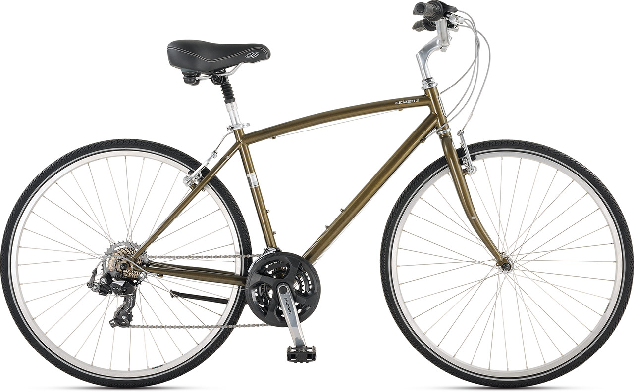 2015 Jamis Citizen 1