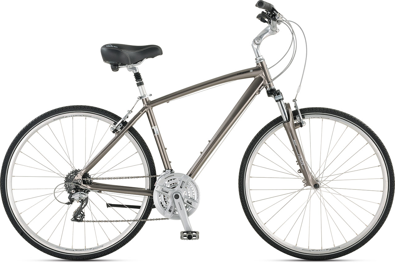 2015 Jamis Citizen 3