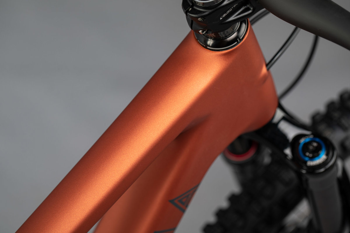 2021 Juliana Furtado Carbon C R