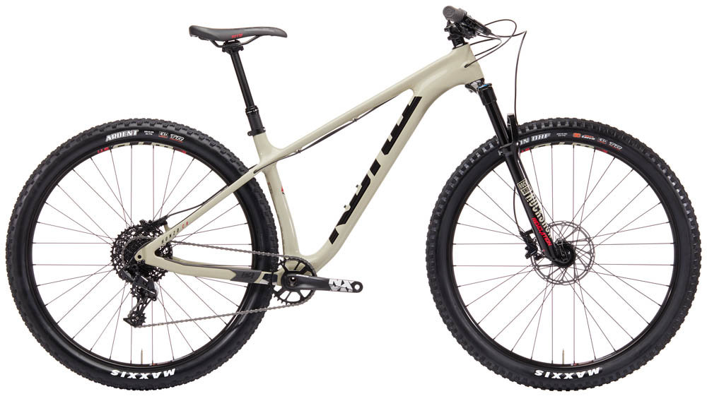 2019 Honzo