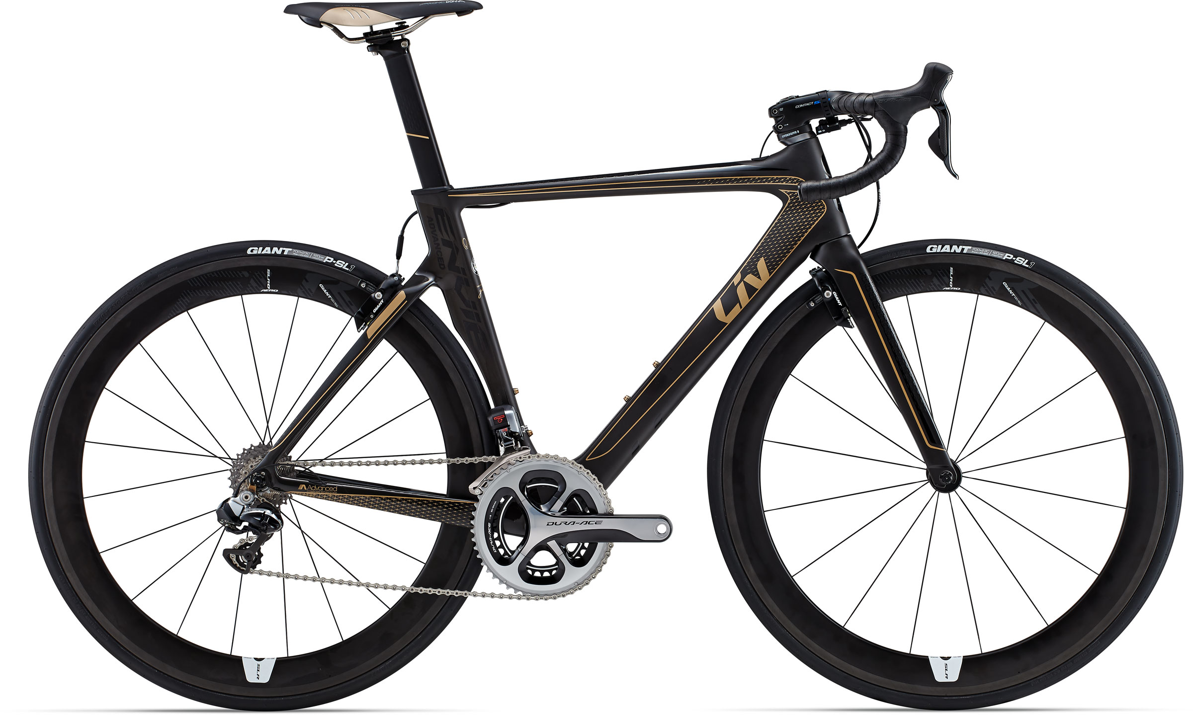 2015 Envie