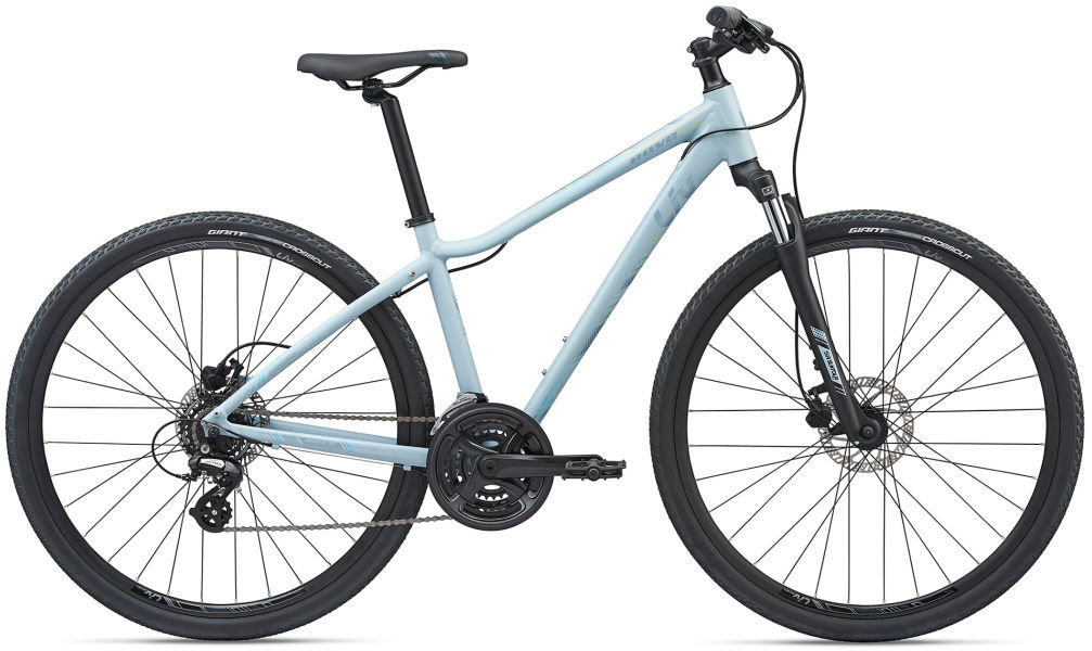 2020 Liv Rove 4 DD Disc