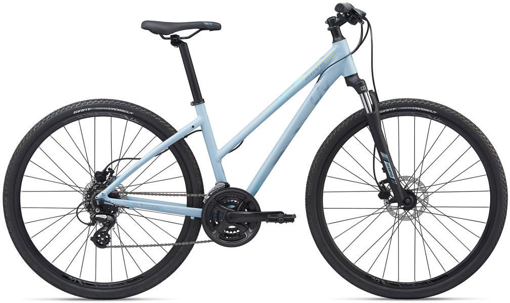 2020 Liv Rove 4 Disc