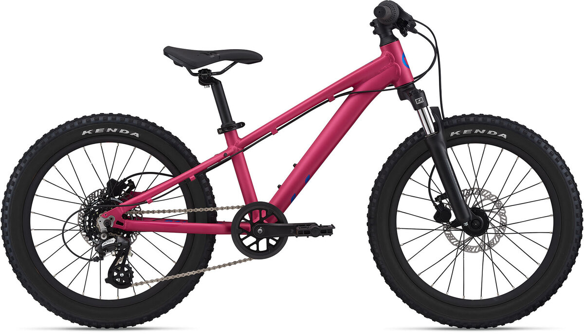 2021 Liv STP 20 FS