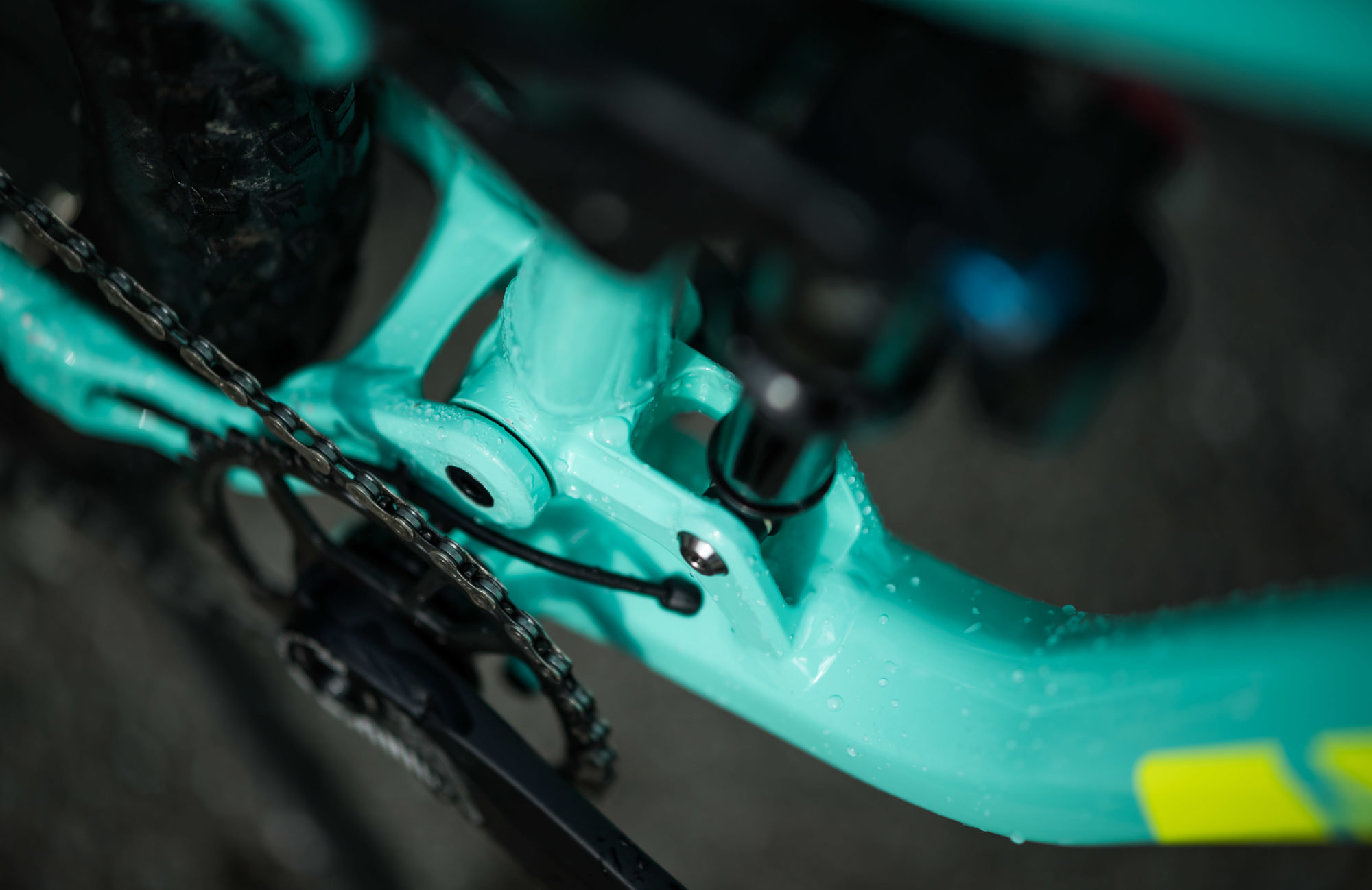 2019 Alpine