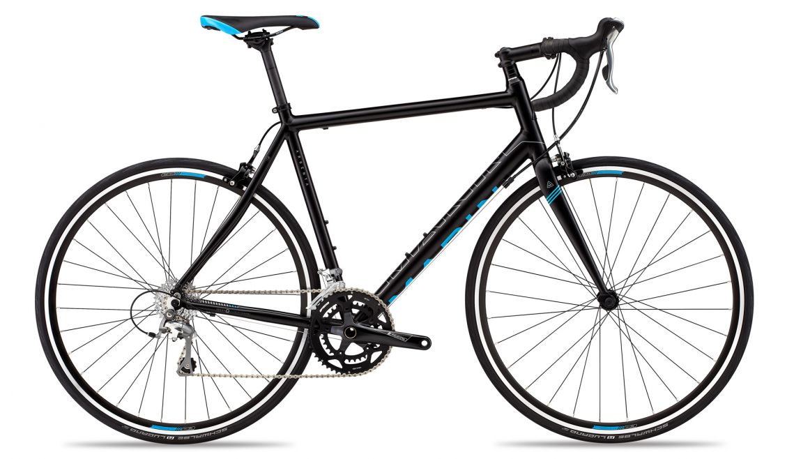 2016 Argenta