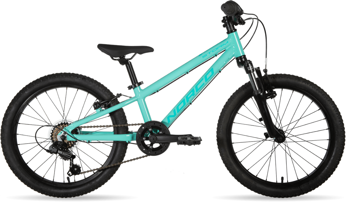 2021 Norco Storm 2.2