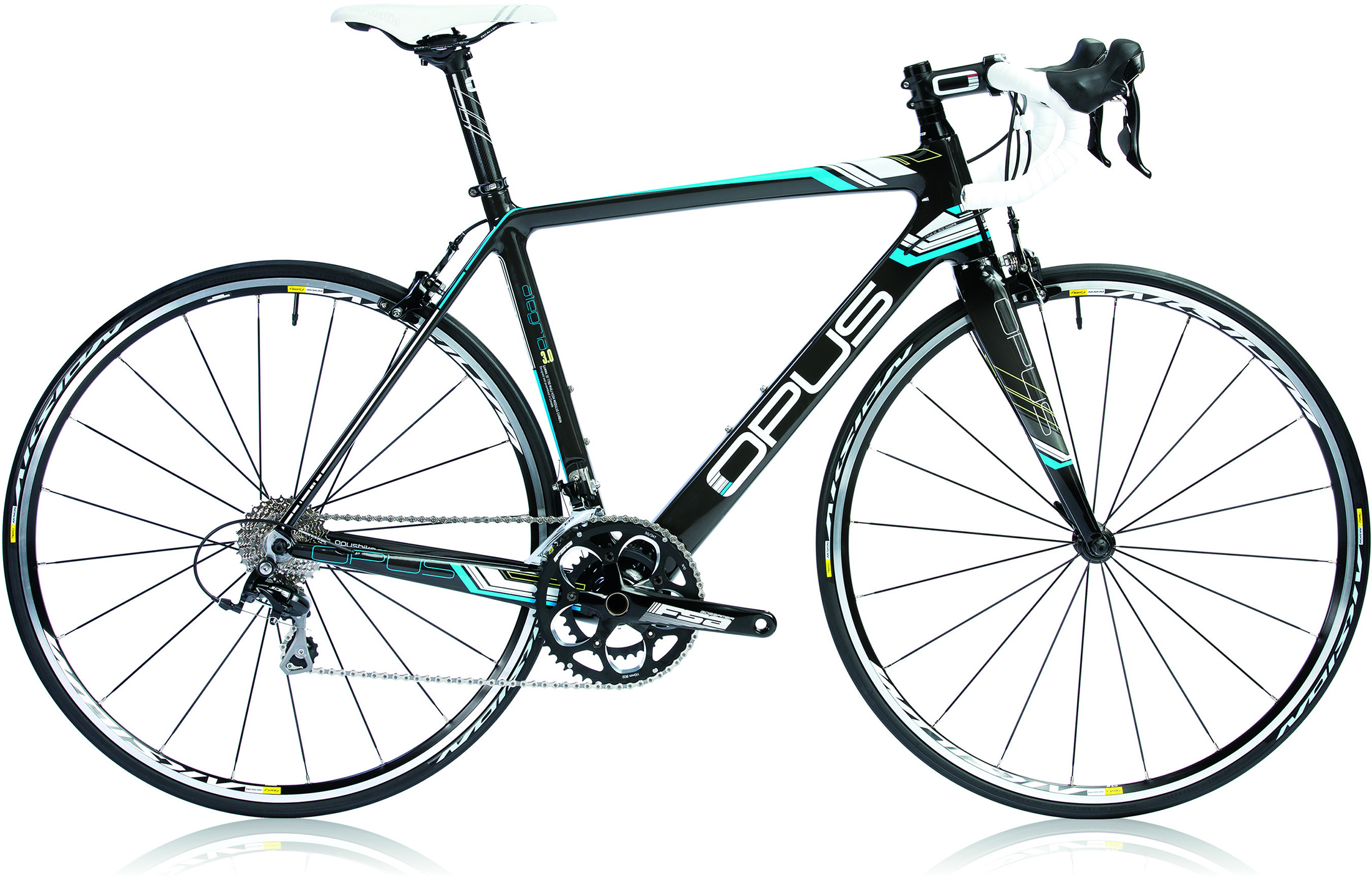 2014 Alegria