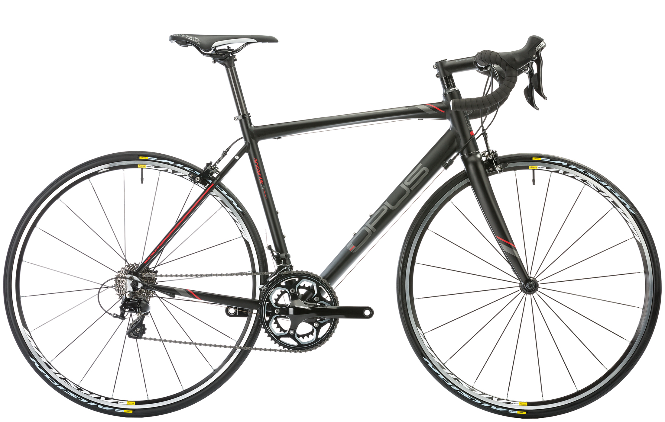 2015 Andante