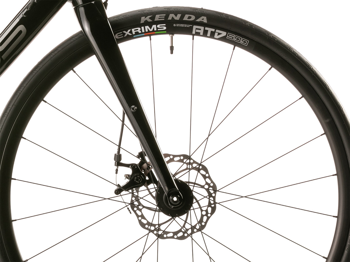 2019 Opus Andante 3