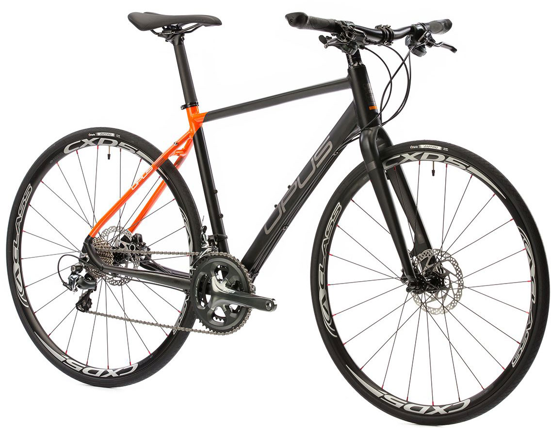 2016 Opus Citato 2