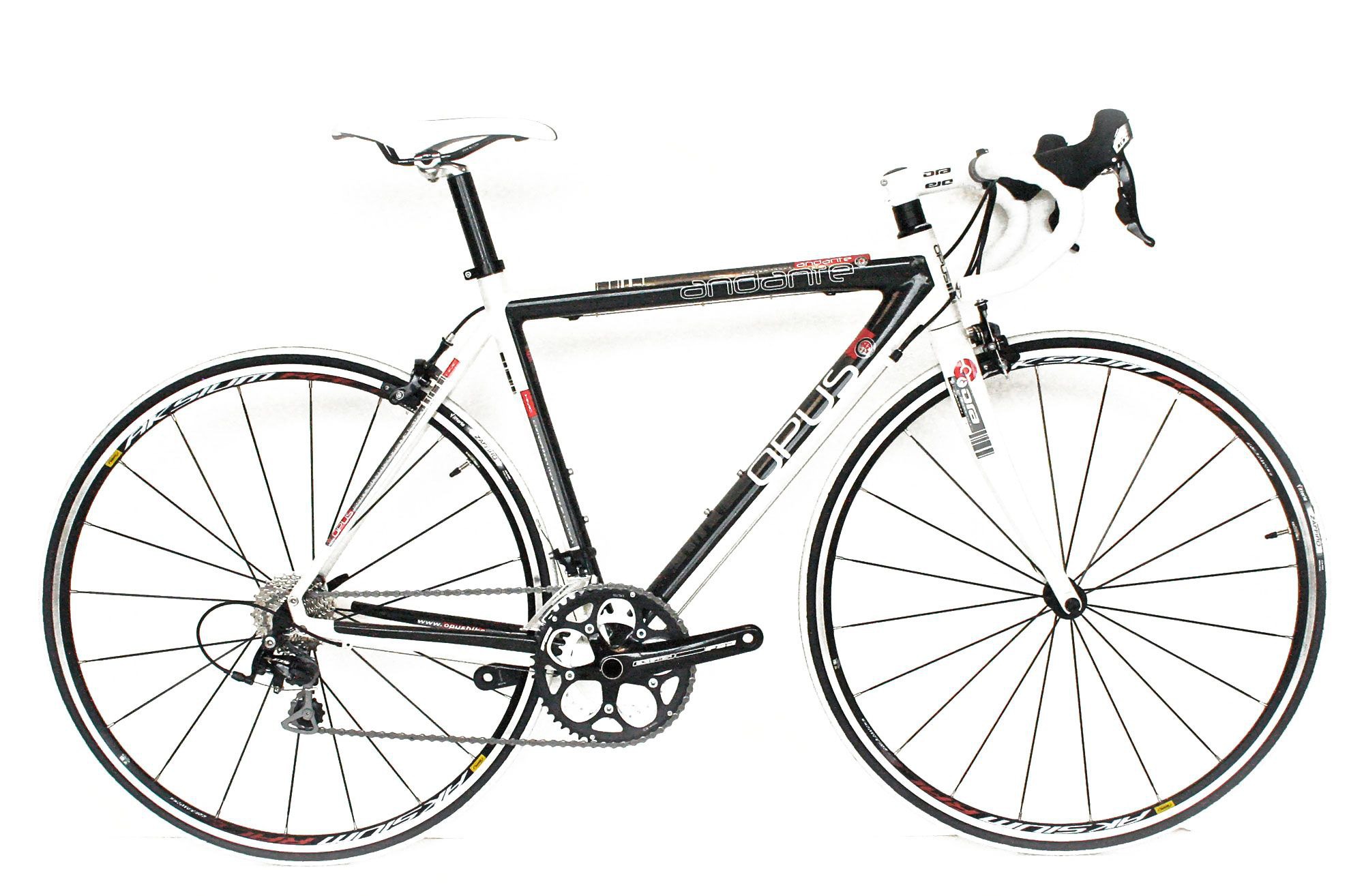 2011 Andante
