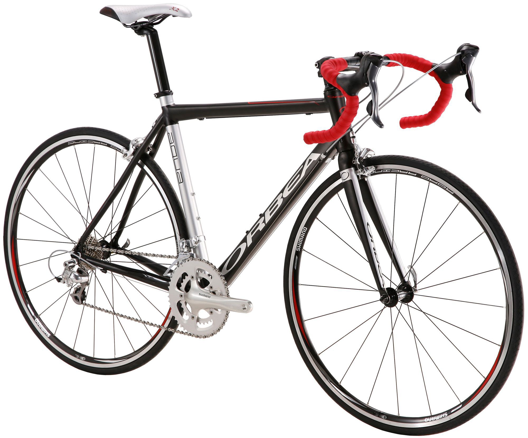 Gavia