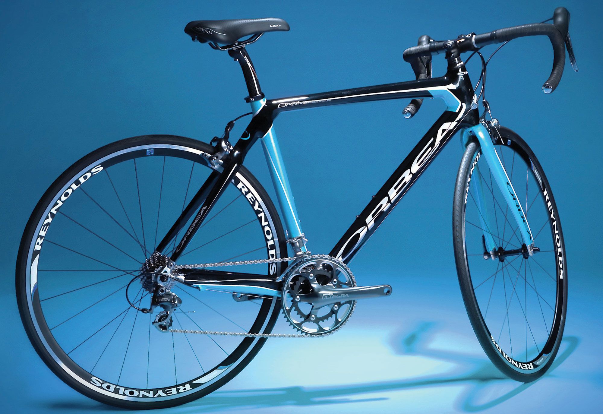 2009 Orbea Opal Dama Rival