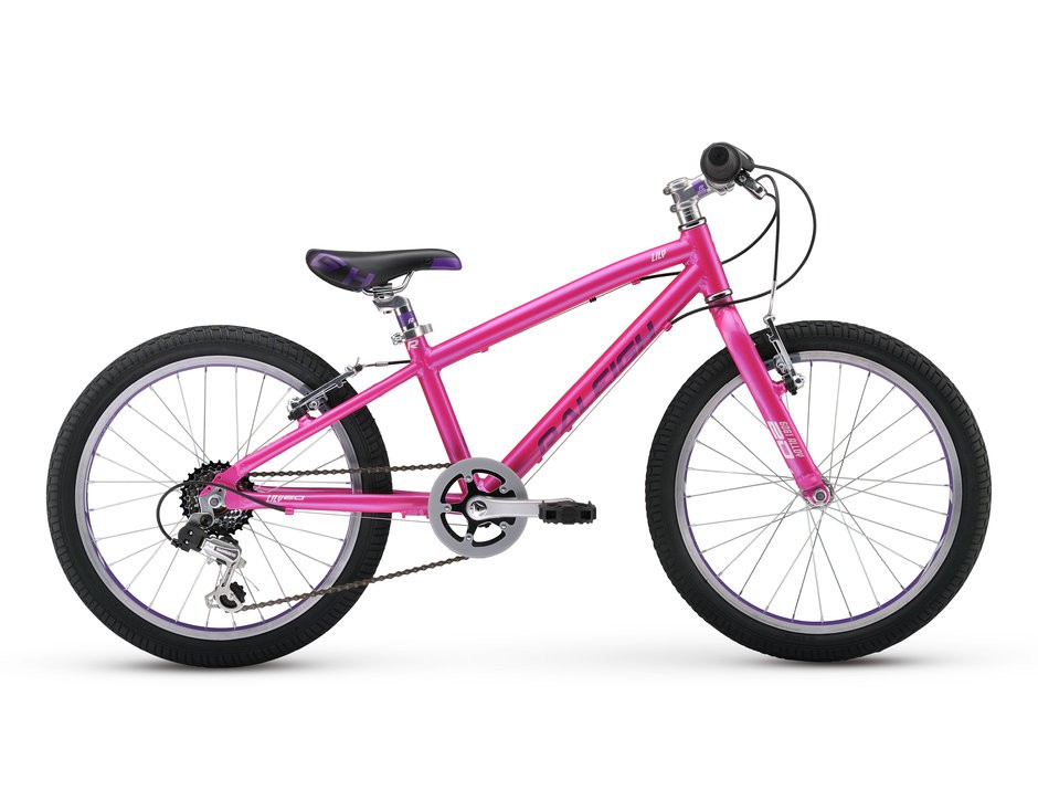 2017 Raleigh Lily 20