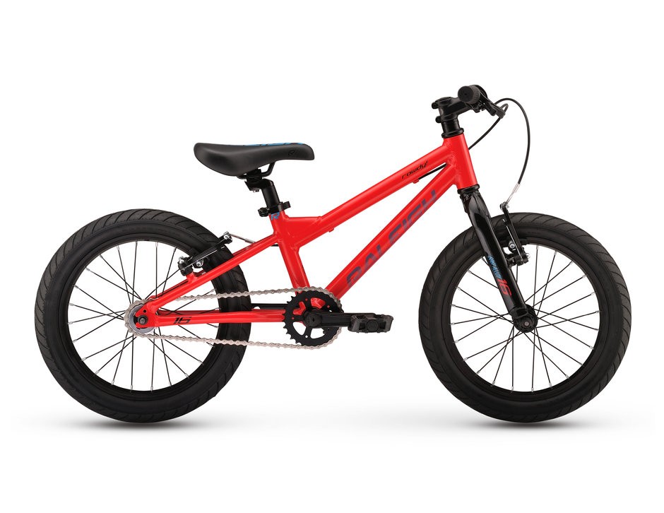 2017 Raleigh Rowdy 16