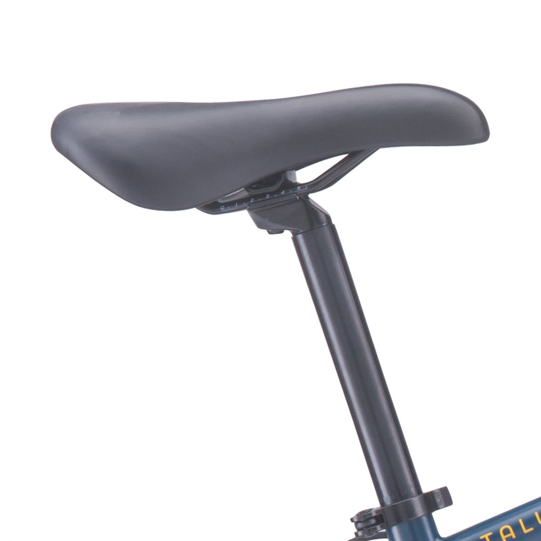 2018 Raleigh Talus 1