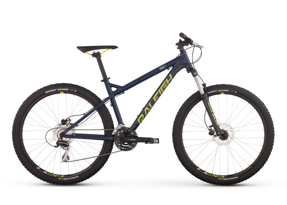 2017 Raleigh Tokul 1