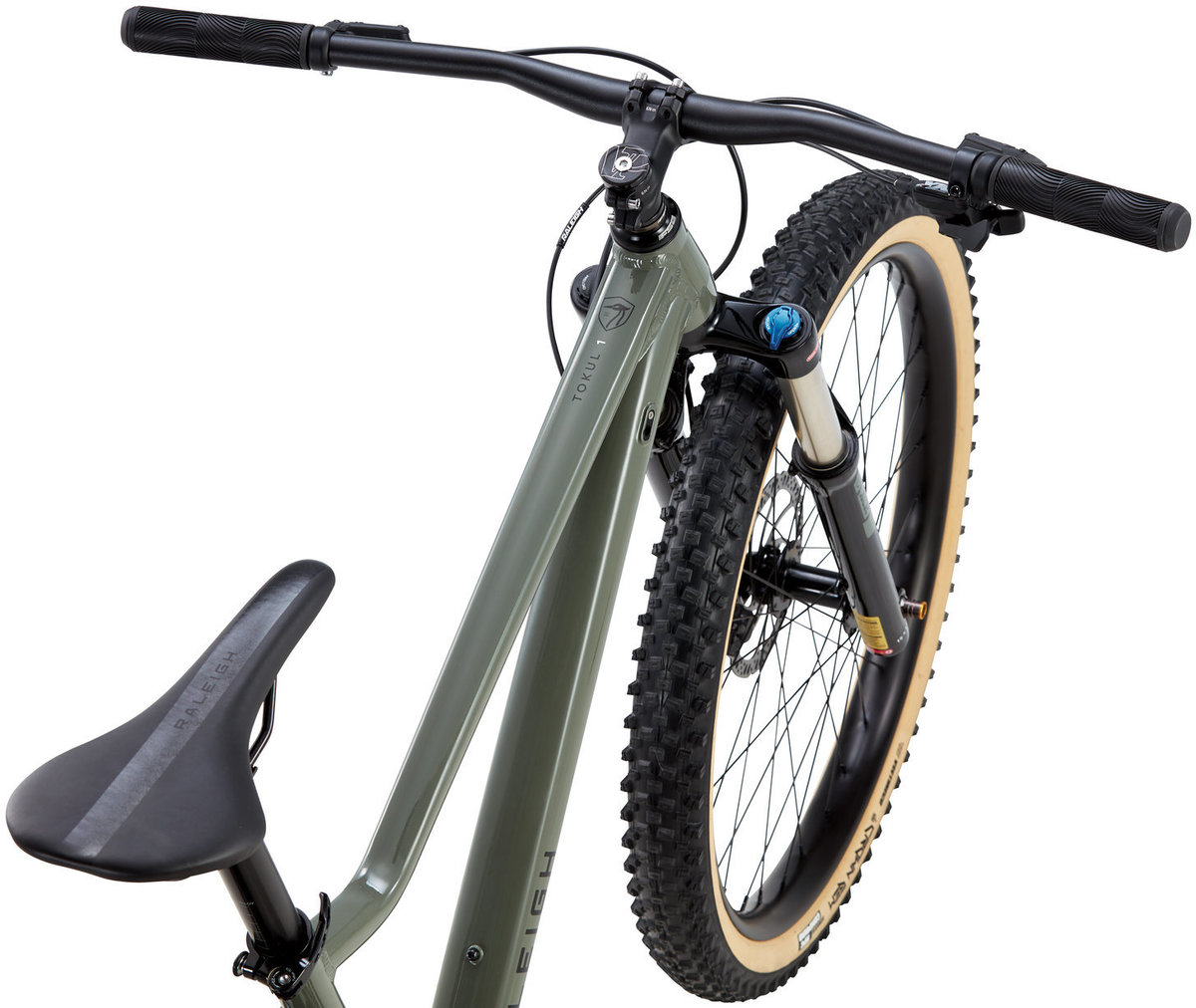 2020 Raleigh Tokul 1