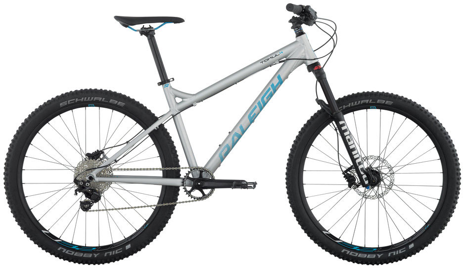 2016 Raleigh Tokul 4