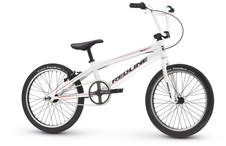 2013 Proline