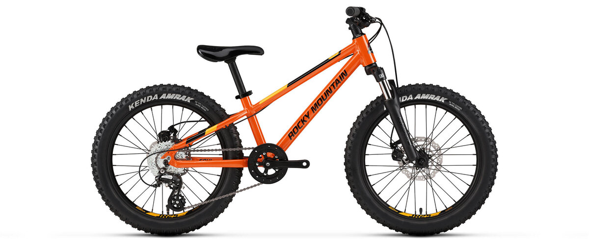2021 Rocky Mountain Soul Jr 20 Value & Price Guide | Bicycle Blue Book
