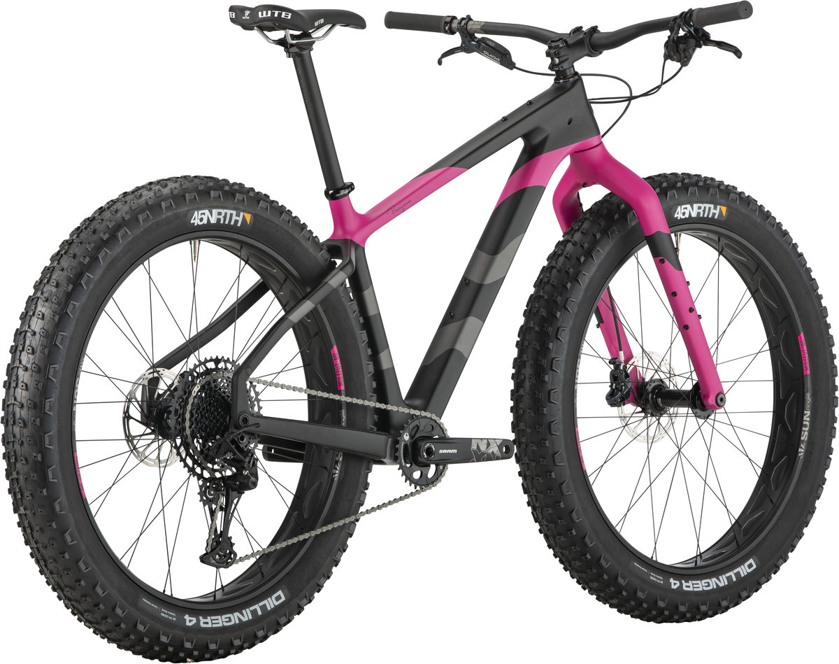 2020 Salsa Beargrease Carbon NX Eagle