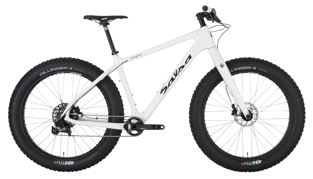 2015 Salsa Beargrease Carbon 1